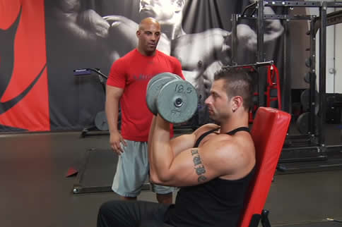 Arnold recommendation